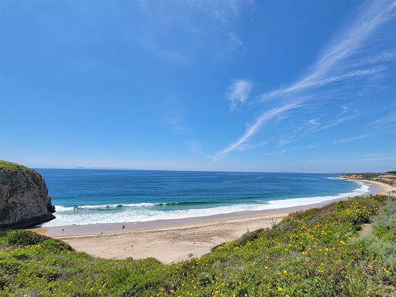 Cameo Shores